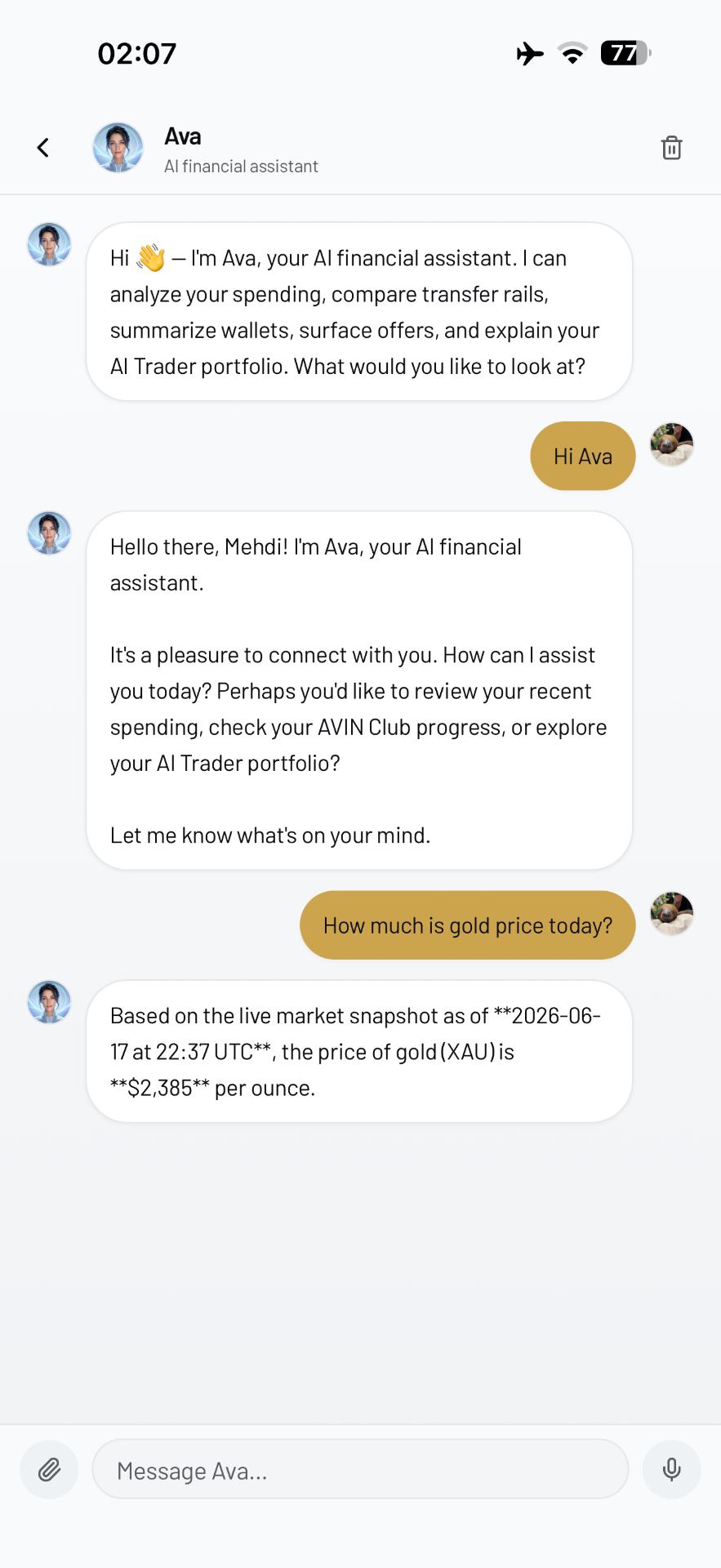 AVIN Ava AI financial assistant chat